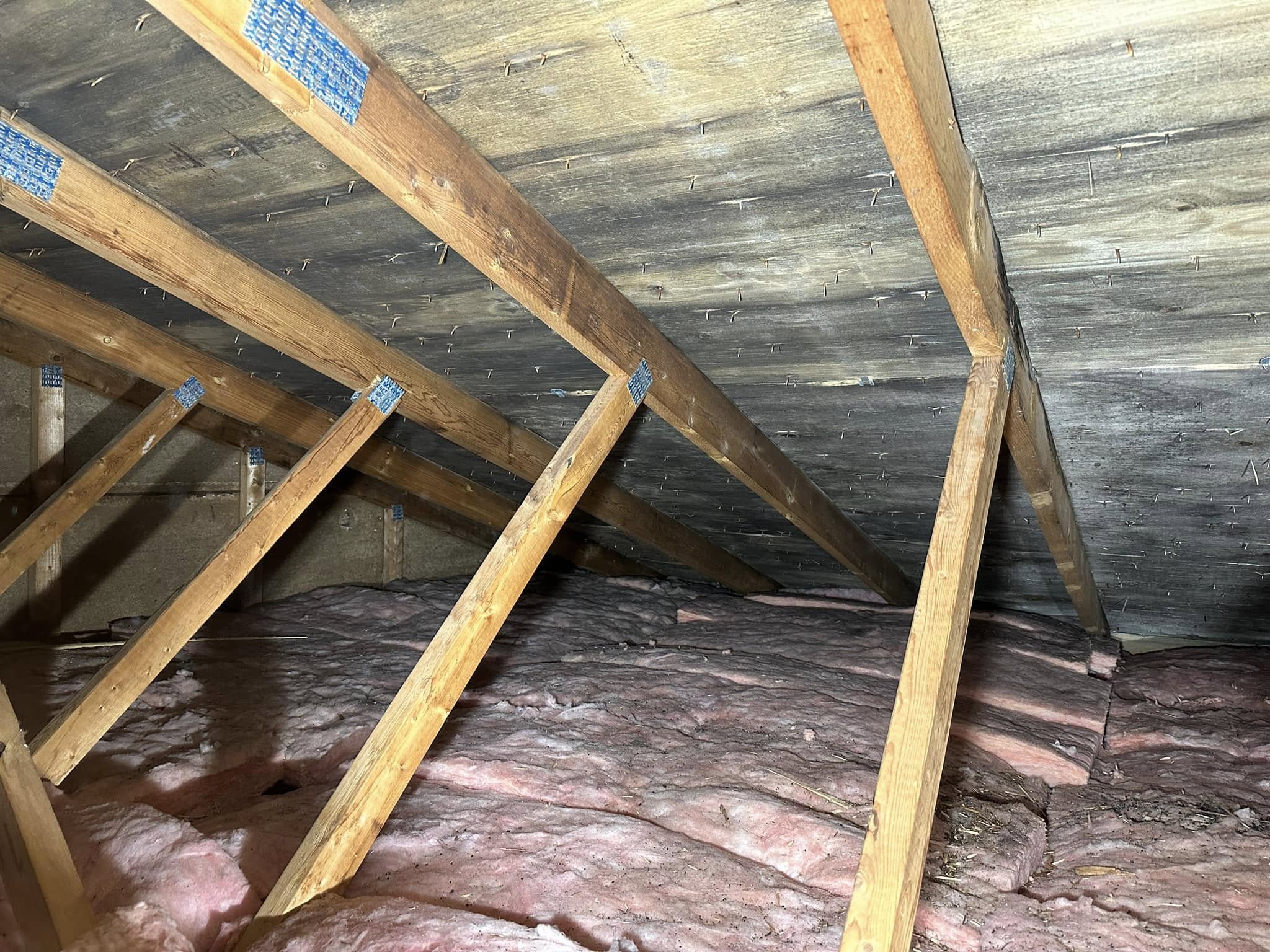 Attic Survey